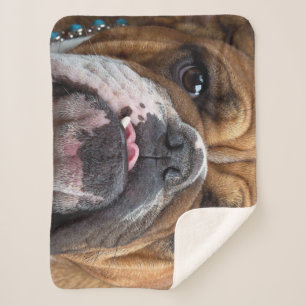 Manta Sherpa Cojín decorativo de Bulldog inglés