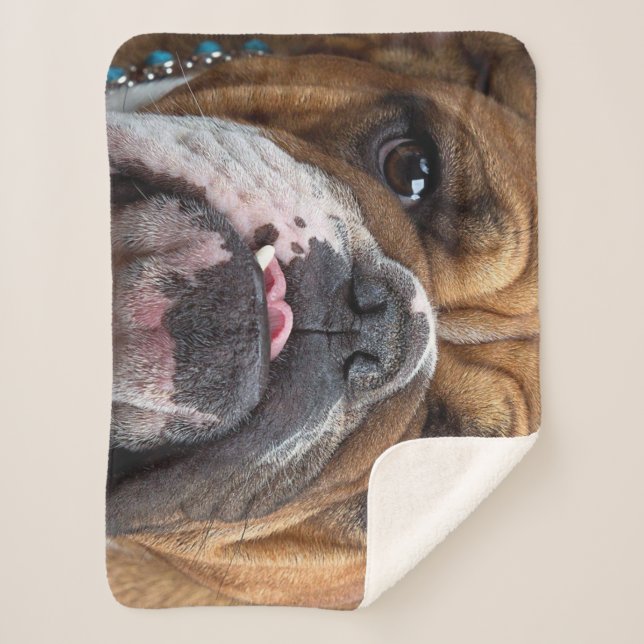 Manta Sherpa Cojín decorativo de Bulldog inglés (Anverso)