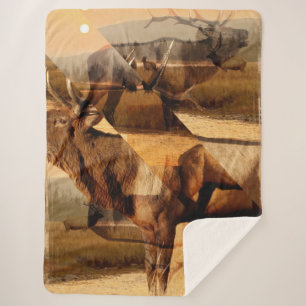 Manta Sherpa Collage de Bull Elk Sunrise