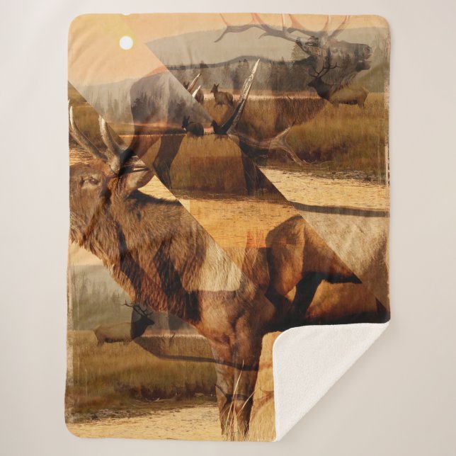 Manta Sherpa Collage de Bull Elk Sunrise (Anverso)