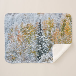 Manta Sherpa Colores de otoño de Aspens y nieve Keebler Pass