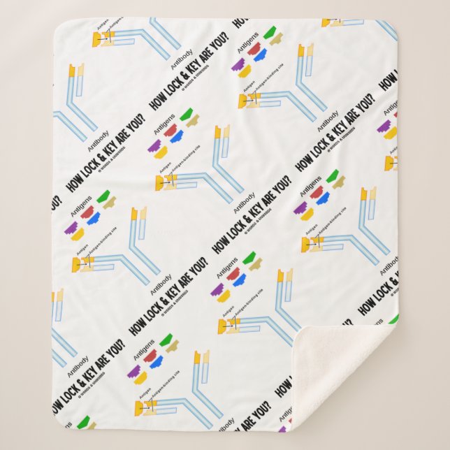 Manta Sherpa ¿Cómo Es La Cerradura Y La Llave? Anticuerpos anti (Anverso)