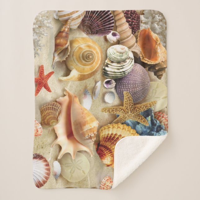 Manta Sherpa conchas marinas en la playa (Anverso)