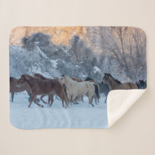 Manta Sherpa Conducción de caballos en invierno en Hideout Ranc