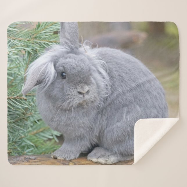 Manta Sherpa Conejo gris liso (Anverso (horizontal))