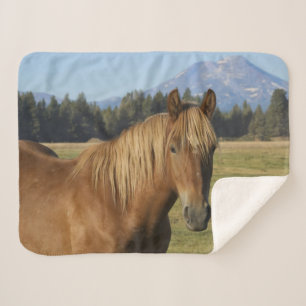 Manta Sherpa Cordillera de las Cascadas Caballo castaño