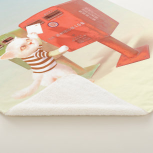 Manta Sherpa Correo electrónico de un gato