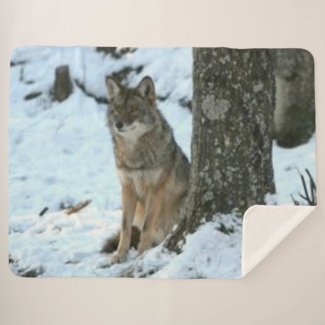 Manta Sherpa COYOTE en la WILD (Anverso (horizontal))