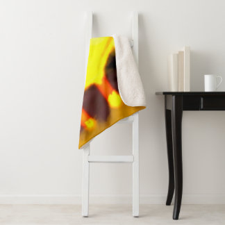 Manta Sherpa Creation of the dragon cat