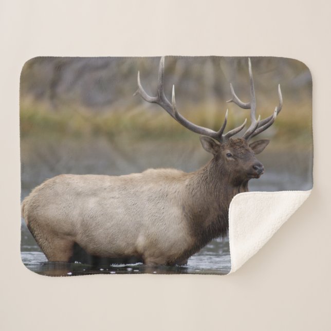 Manta Sherpa Cruce de toro | Parque nacional Yellowstone (Anverso (horizontal))