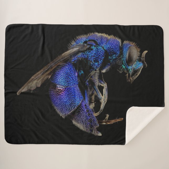 MANTA SHERPA CUCKOO (Anverso (horizontal))