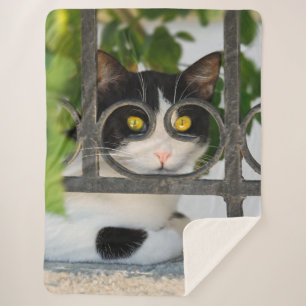 Manta Sherpa Curiosos ojos de gato con milagros marco divertida