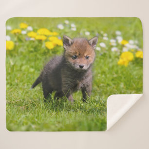 Manta Sherpa Cute Fluffy Red Fox Kit Cub Wild Baby Animal Photo