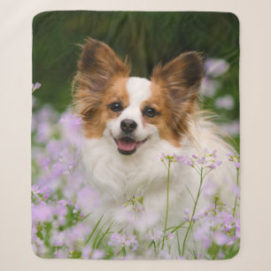 Manta Sherpa Cute Papillon - Foto de cabeza española para los a
