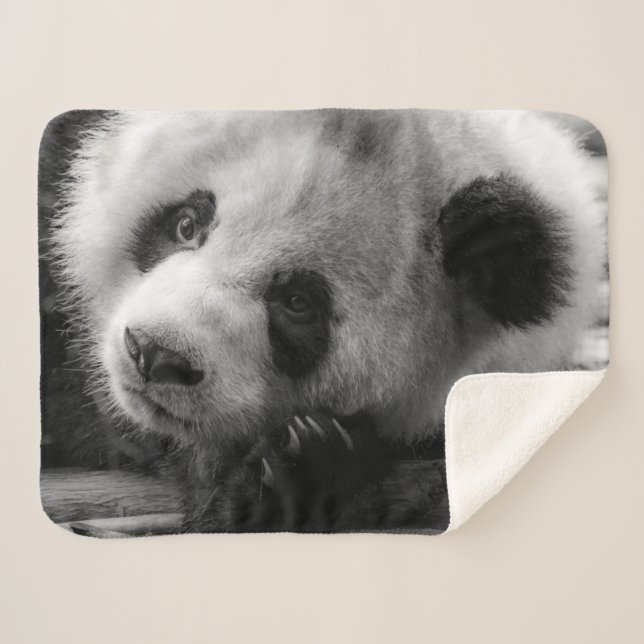 Manta Sherpa Cutest Baby Animals | Giant Panda Bear Cub (Anverso (horizontal))