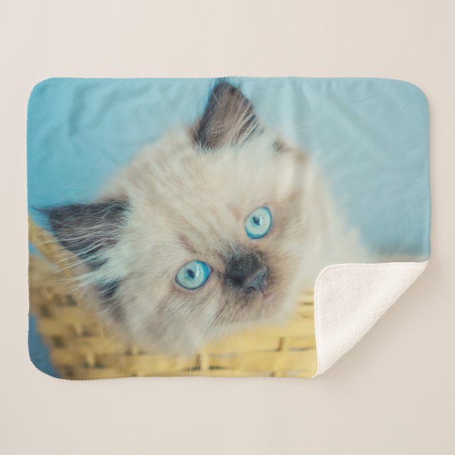 Manta Sherpa Cutest Baby Animals | Himalayan Seal Point Cat (Anverso (horizontal))