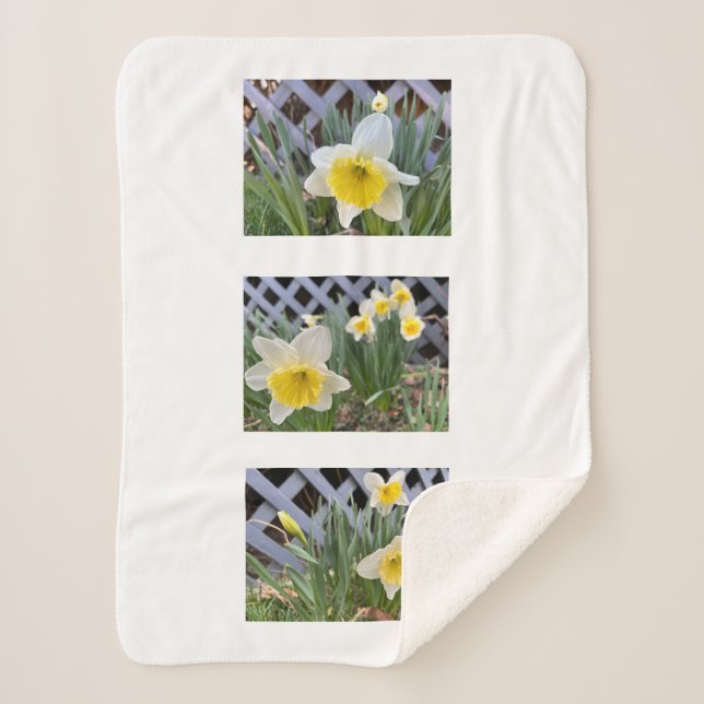 Manta Sherpa Daffodils amarillos Sherpa Blanket (Anverso)