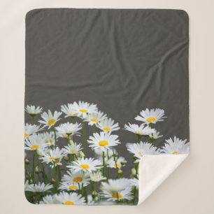 Manta Sherpa Daisies en gris 