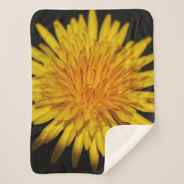 Manta Sherpa Dandelion Flower Sbcnm (Anverso)
