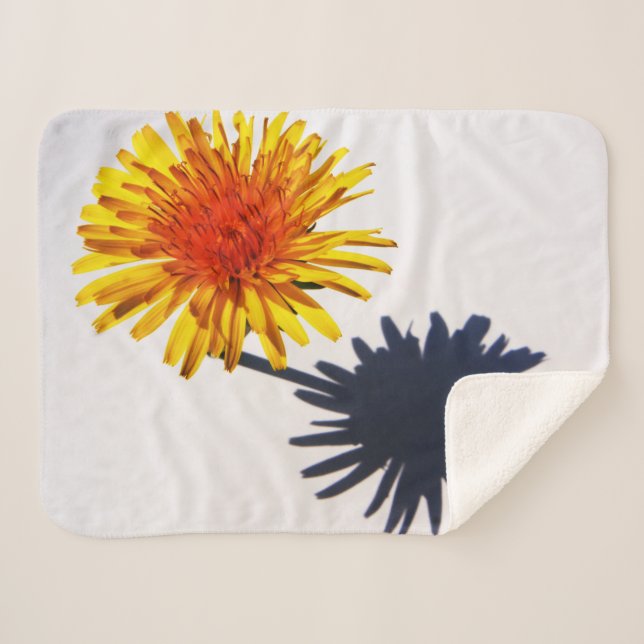 Manta Sherpa Dandelion y Sbcnm en la sombra (Anverso (horizontal))
