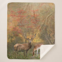 Deers en el bosque otoñal