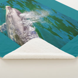 Manta Sherpa Delfín En Milford Sound, Nueva Zelanda