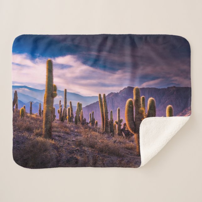 Manta Sherpa Deserts | Cactus Landscape Argentina (Anverso (horizontal))