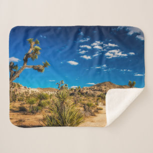 Manta Sherpa Deserts   Joshua Tree National Park