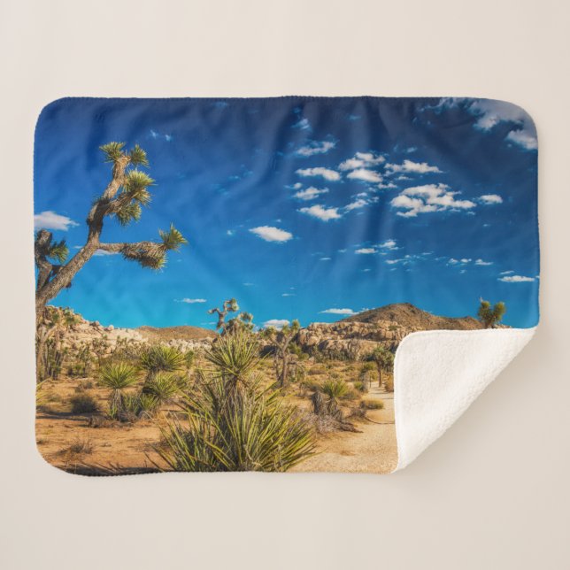 Manta Sherpa Deserts | Joshua Tree National Park (Anverso (horizontal))