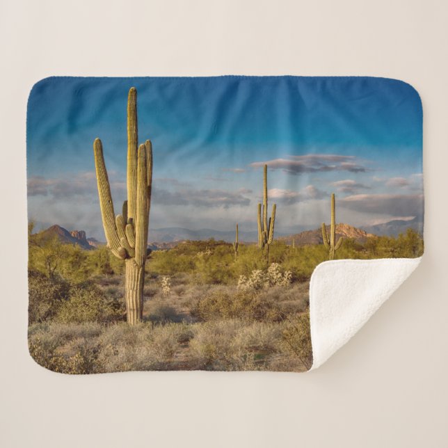 Manta Sherpa Deserts | Superstition Mountains, Arizona (Anverso (horizontal))