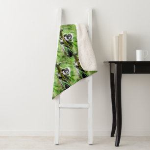 Manta Sherpa Destino del destino de la fiesta de cumpleaños del