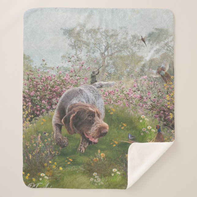 Manta Sherpa Deutsch Drahthaar (Anverso)