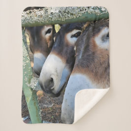 Manta Sherpa Donkey Love Sherpa Blanket