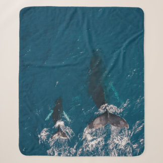 MANTA SHERPA DOS BALLENAS NEGRAS NADANDO EN CUERPO DE AGUA