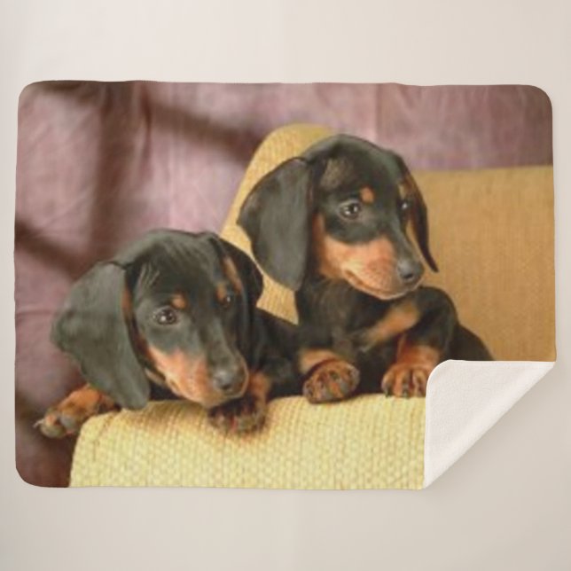 MANTA SHERPA DOS DACHSUNDS (Anverso (horizontal))
