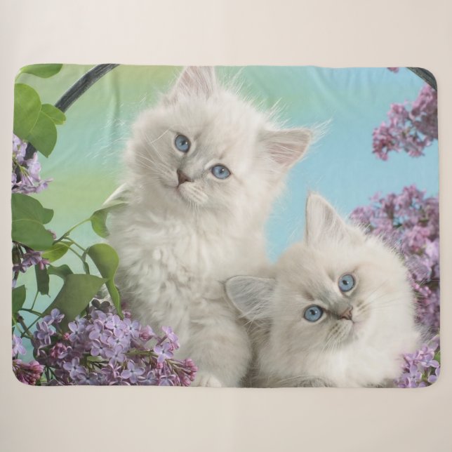 MANTA SHERPA DOS KITTENS BLANCOS (Anverso (horizontal))