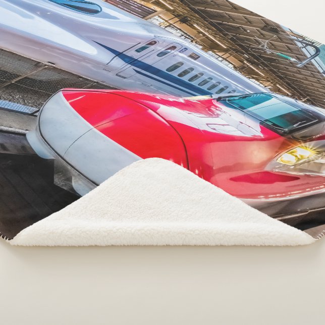 Manta Sherpa Dos Shinkansen en la estación de Tokio (3/4)