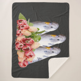 Manta Sherpa drei niedliche weisse Wellensittiche