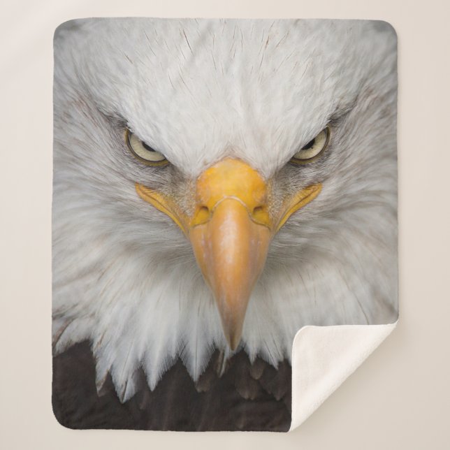 Manta Sherpa Eagle Closeup (Anverso)
