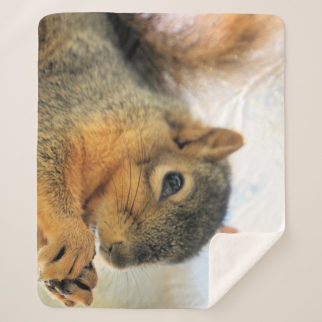 Manta Sherpa Eat Throw Blanket (Anverso)