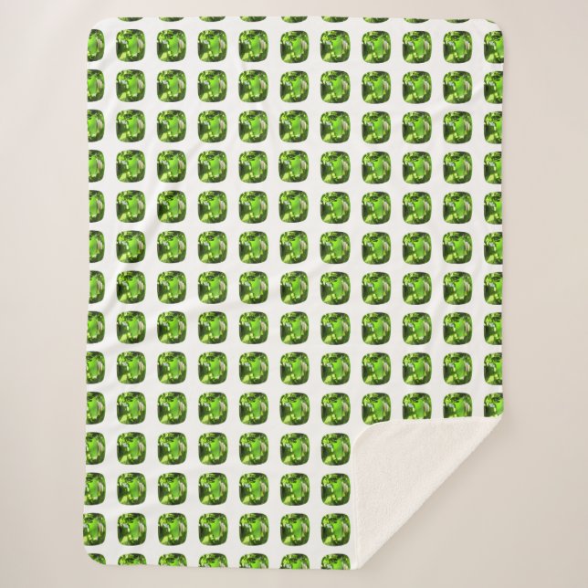 Manta Sherpa Ecologista (Anverso)