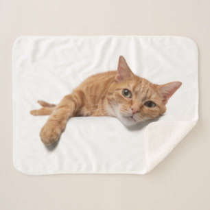 Manta Sherpa El gato del Naranja está caído