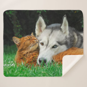 Manta Sherpa El gato somalí Siberian Husky Cuerdo amigos insens