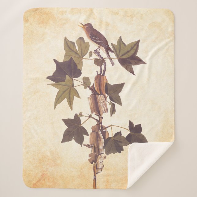 Manta Sherpa El pájaro del Flycatcher del Sendero Audubon (Anverso)