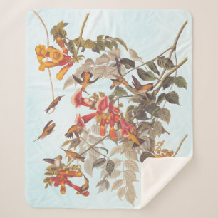 Manta Sherpa El rubí tropical de Audubon rotó los colibríes