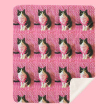 El Sherpa Blanket, un gato medio de Tuxedo