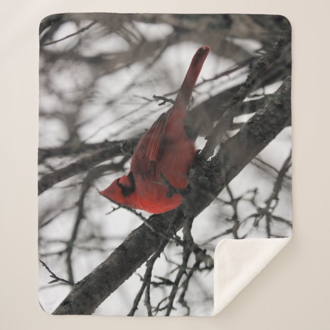 Manta Sherpa El Sr. (Anverso)