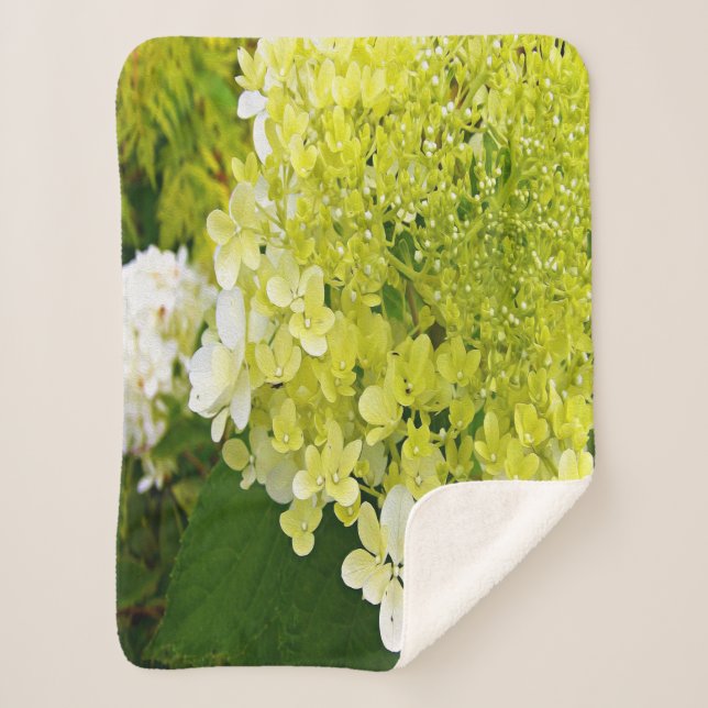 Manta Sherpa Elegante Chartreuse Green Limelight Hydrangea (Anverso)