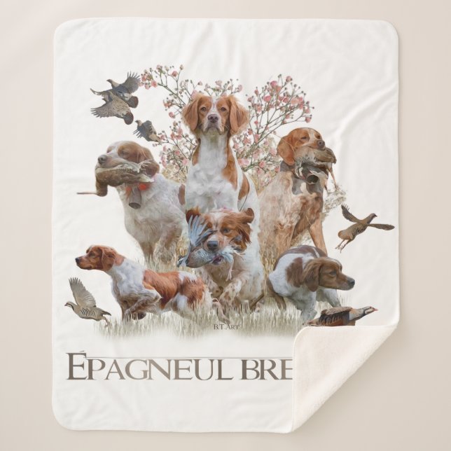 Manta Sherpa Epagneul Breton, Bretaña Spaniel (Anverso)