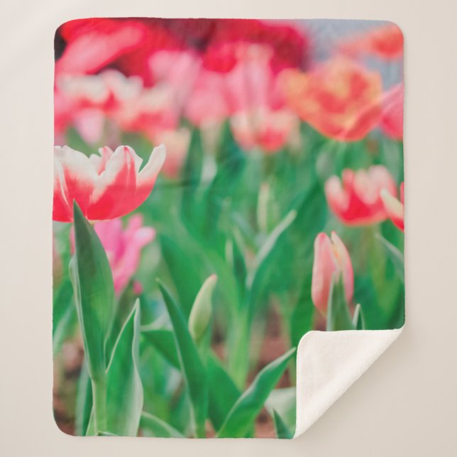 Manta Sherpa Esfera selecta, naturaleza asombrosa de la hermosa (Anverso)